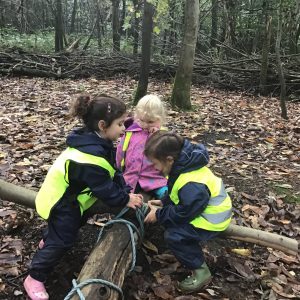 Forest school