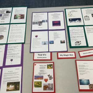Year 6 creative poem project
