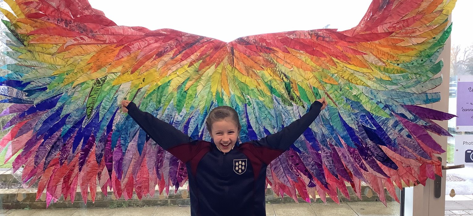 Rainbow Wings on the window