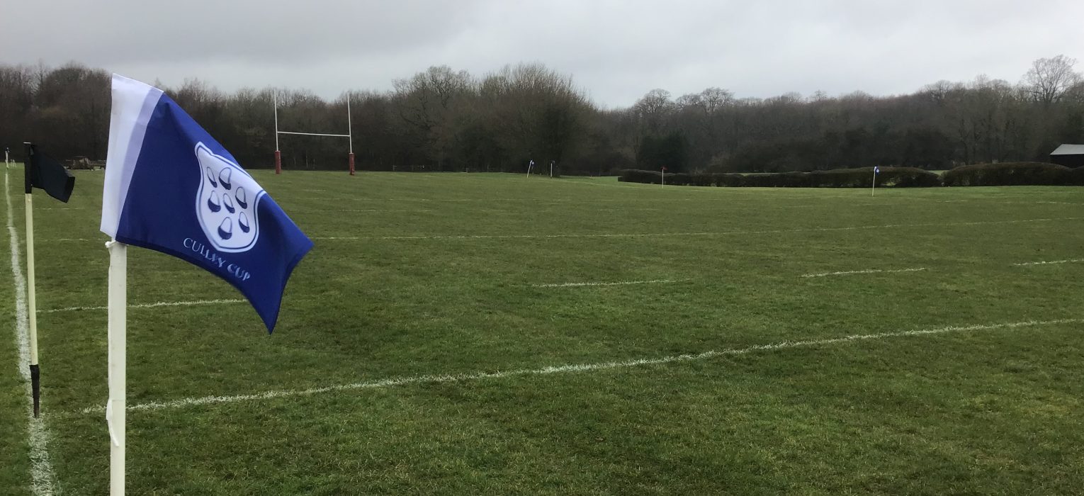 Rugby pitch