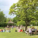Group of children sitting on the grass in a sunny park, with a wooden gazebo and adults at a picnic table under a large tree.