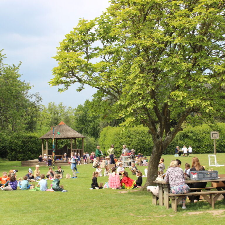 Group of children sitting on the grass in a sunny park, with a wooden gazebo and adults at a picnic table under a large tree.